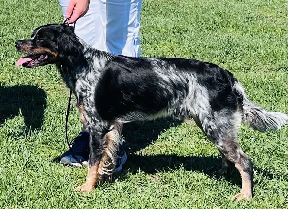 Red Garlics Uniq Ess 2