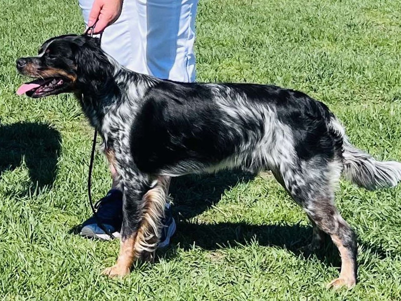 Red Garlics Uniq Ess 2