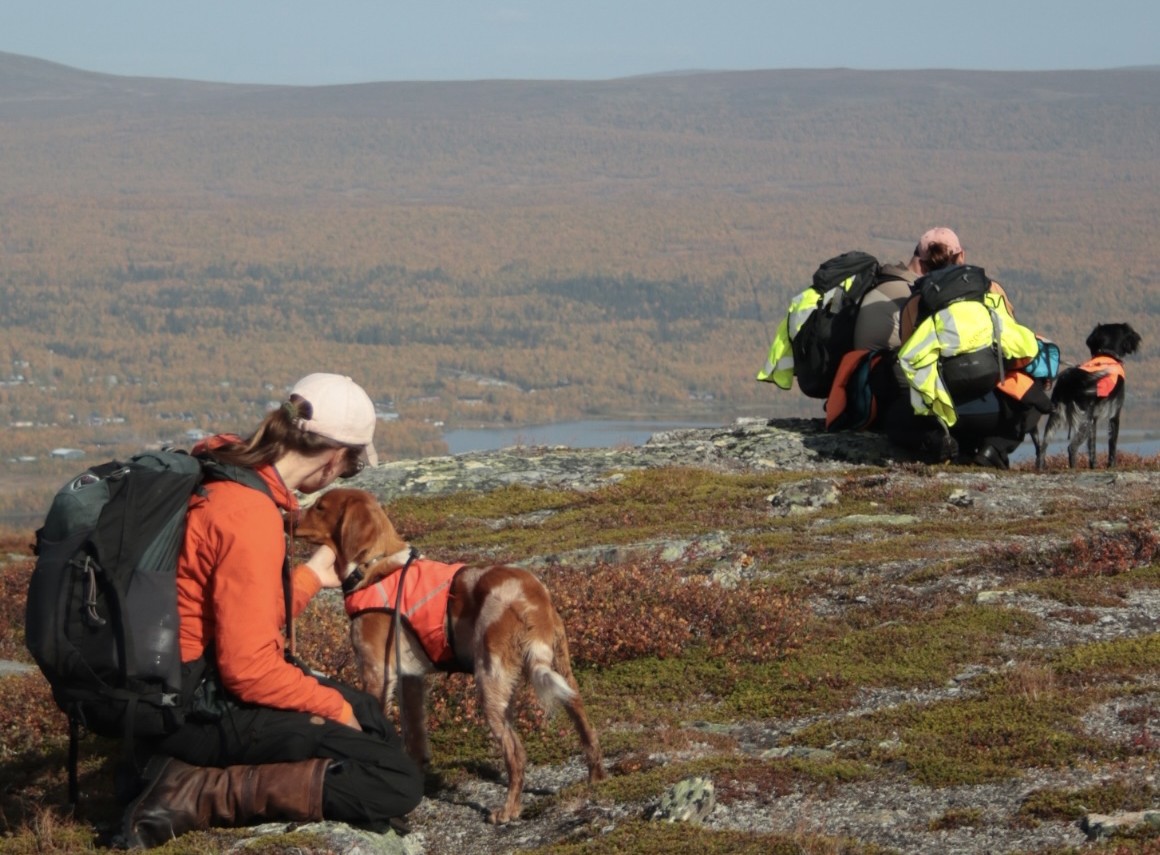 Klimpfjäll 26 9 7