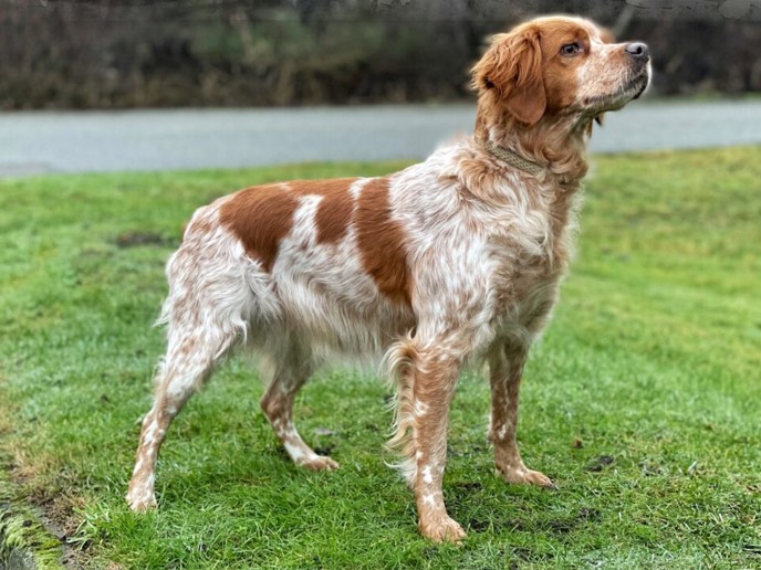 Minuty De Passemarais (1)