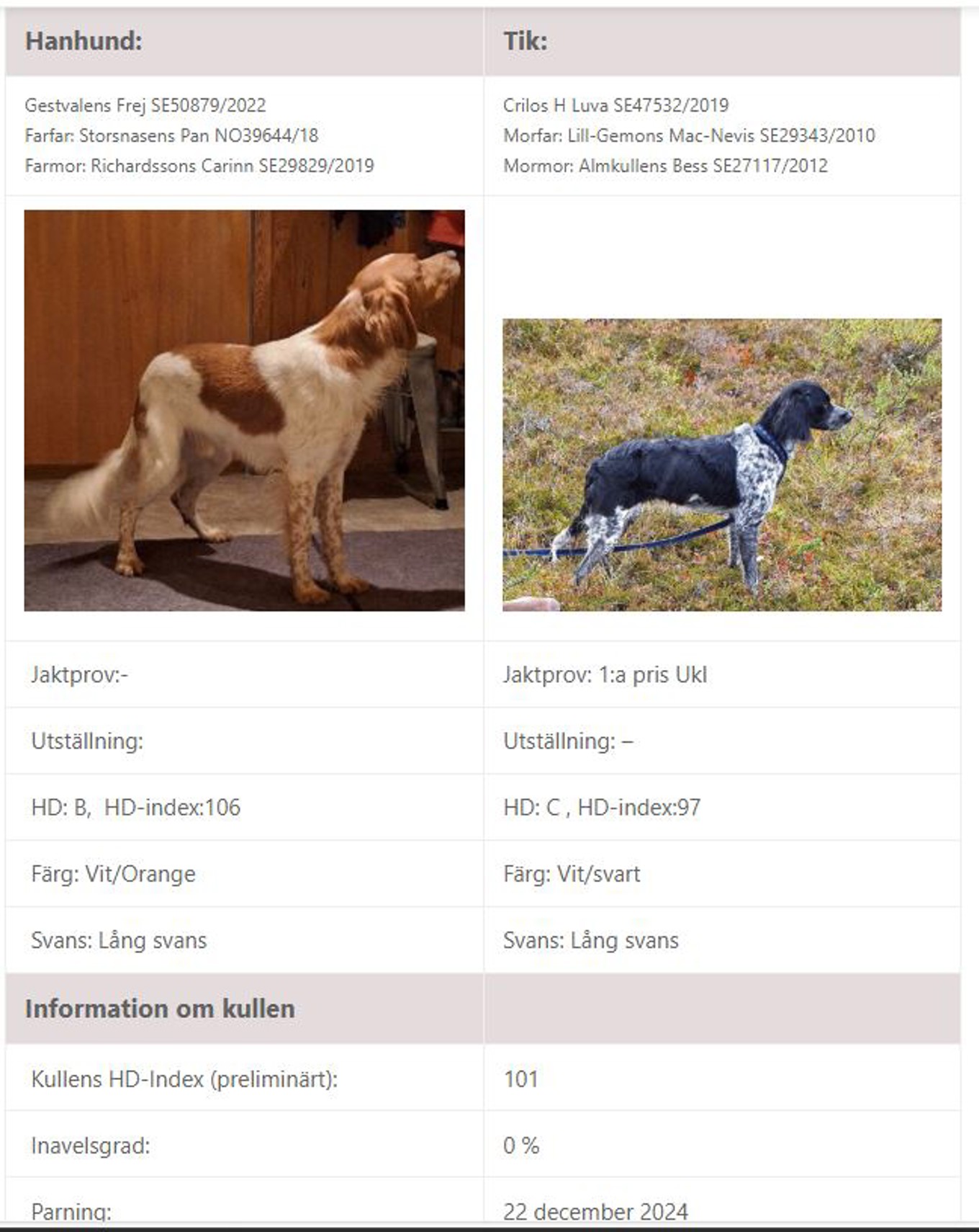 Gestvallens Frej och Crilos H Luva