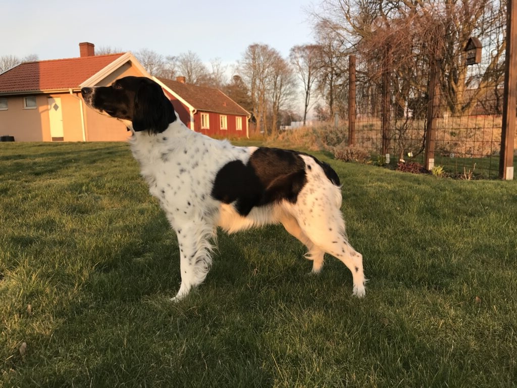 Klaphattens Meja No Exif