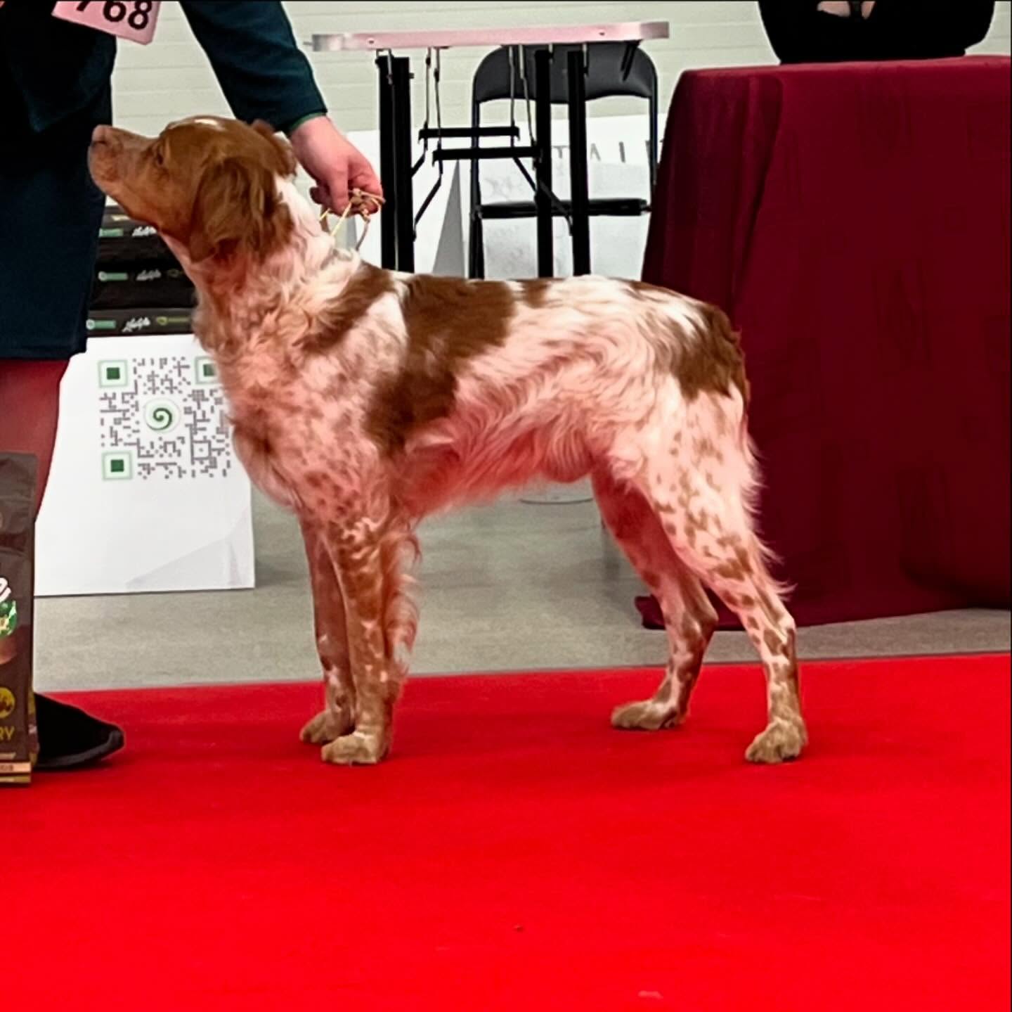 Point North Arne-Noggranne