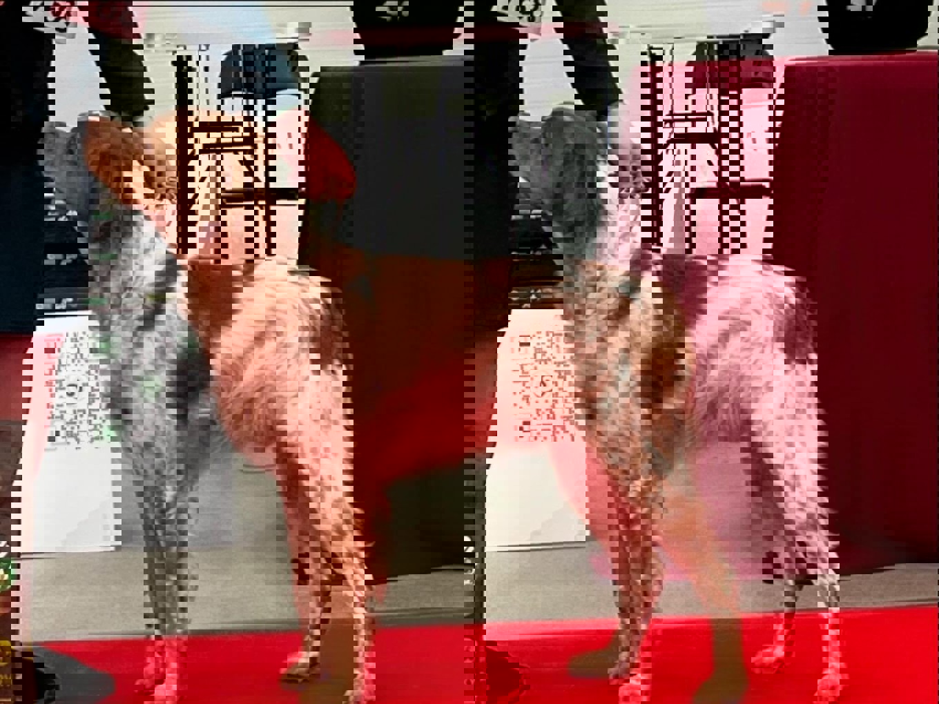 Point North Arne-Noggranne