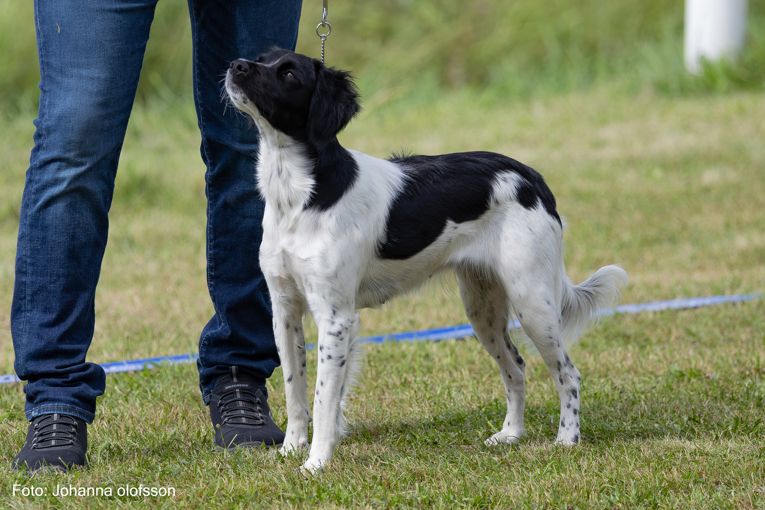 Isaks Soda Äg Malin Isaksson2025