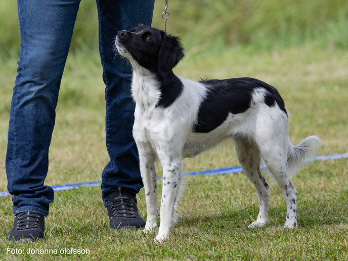 Isaks Soda Äg Malin Isaksson2025