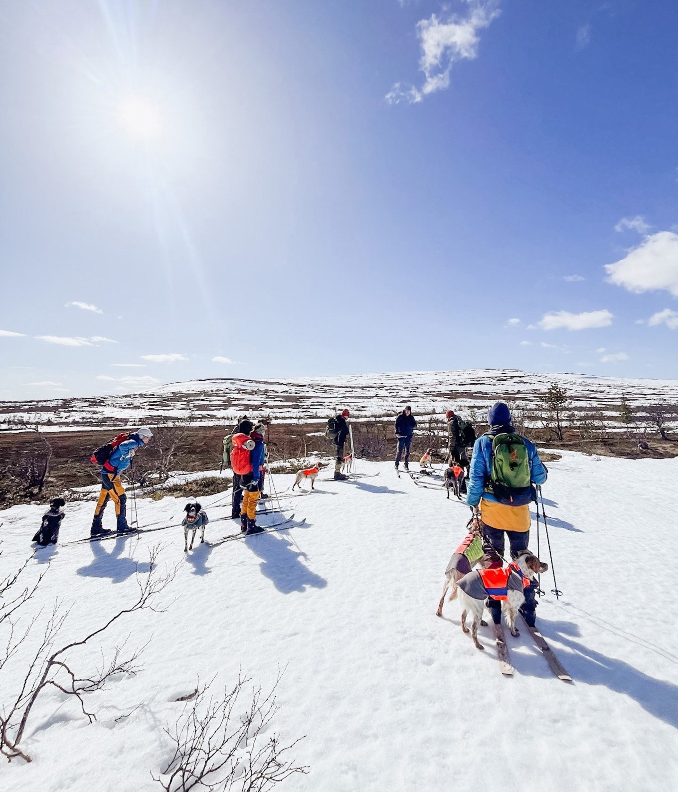 Lofsdalen april-25_1