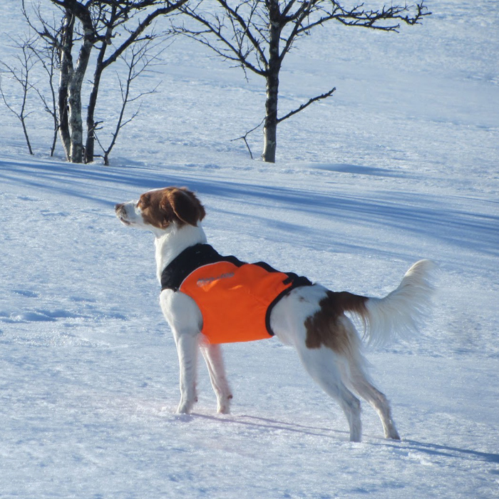 Vakkuniva Tarzan S TR Tindra