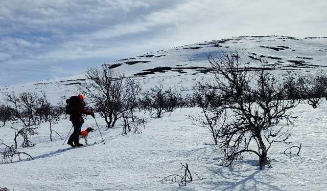 Lofsdalen 24 5