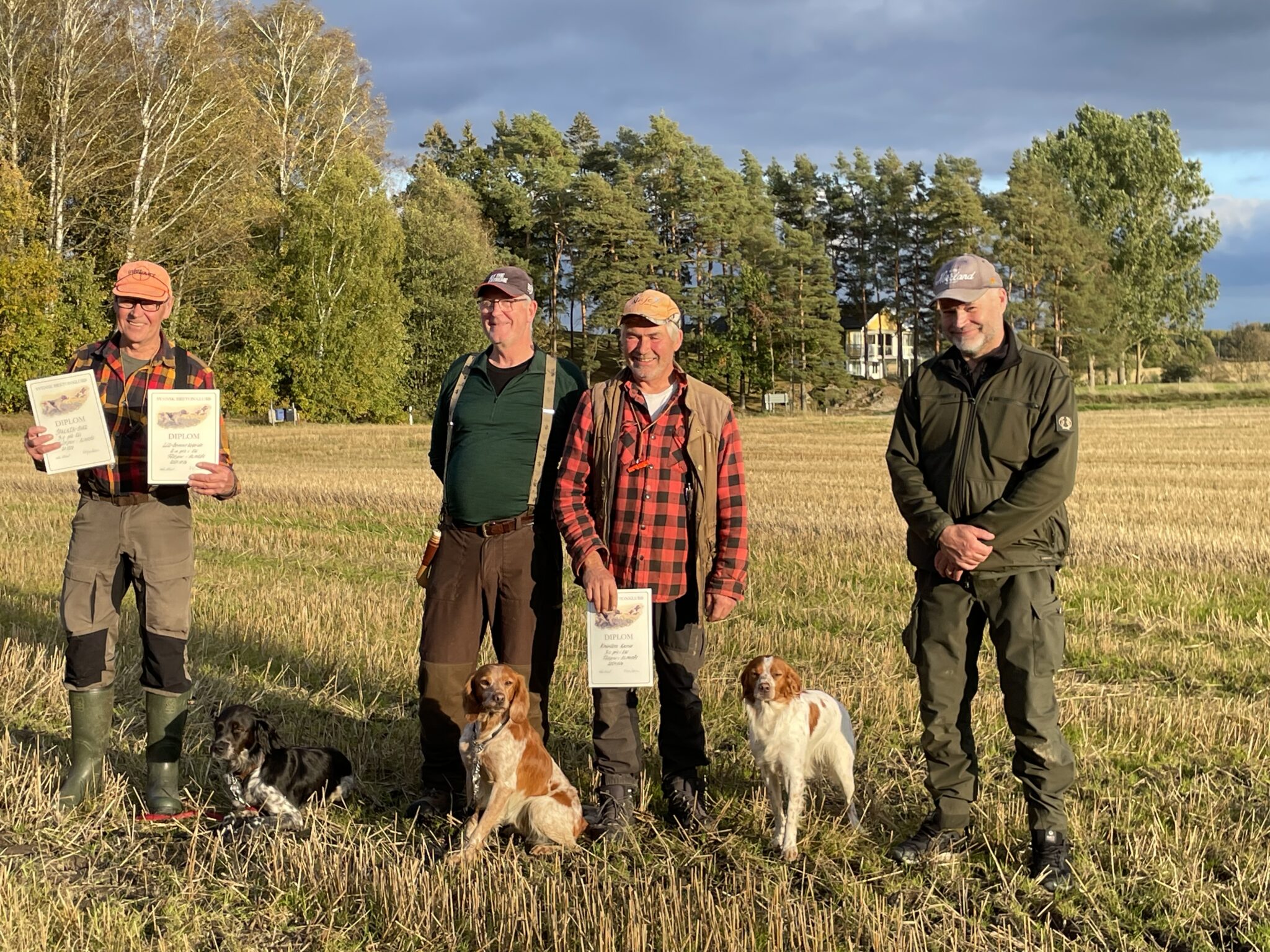 Alingsås priser sönd okt-24