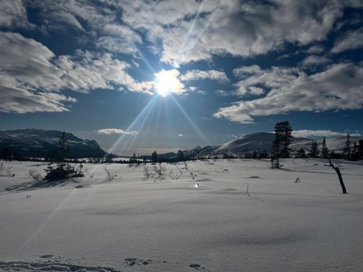 Gräftåvallen 1