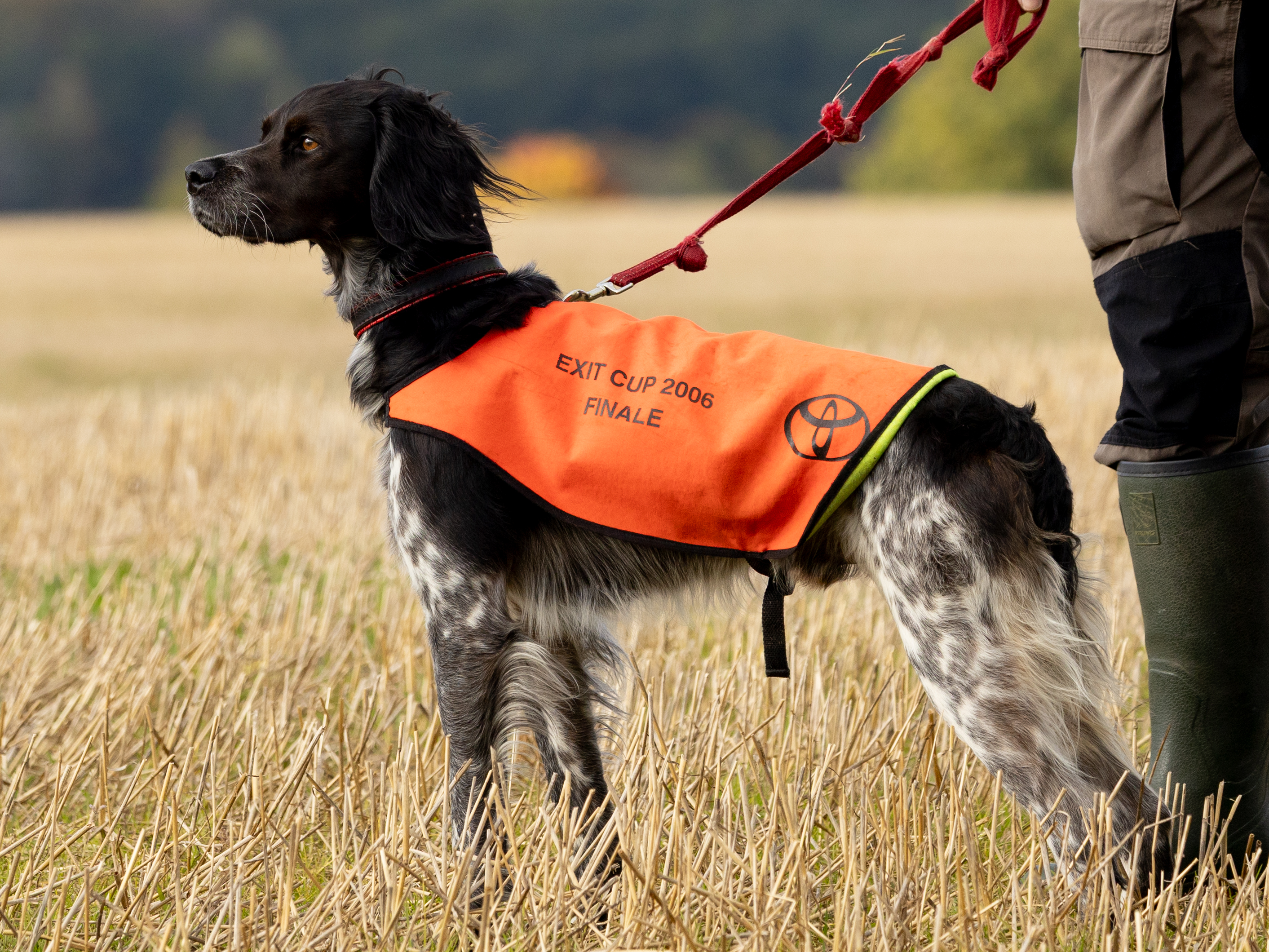 Lill Gemons Nebbiolo (4)