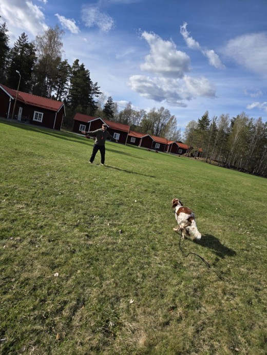 Träning Gä Da 1