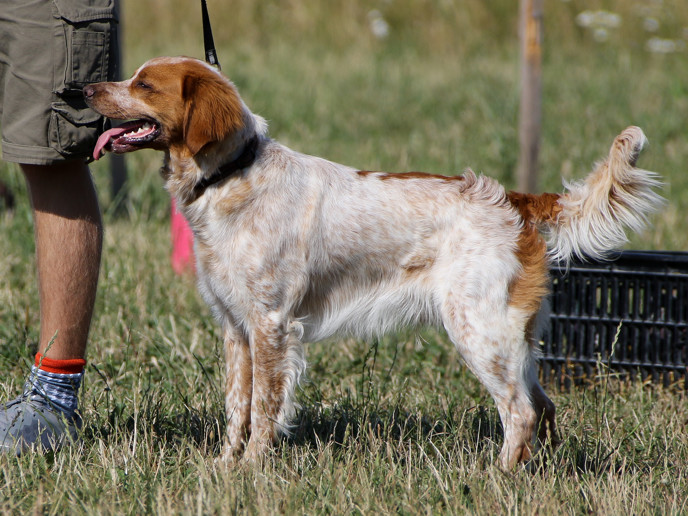 Fiskonfjällets Eero Äg Mikael O Frida Törnberg2018