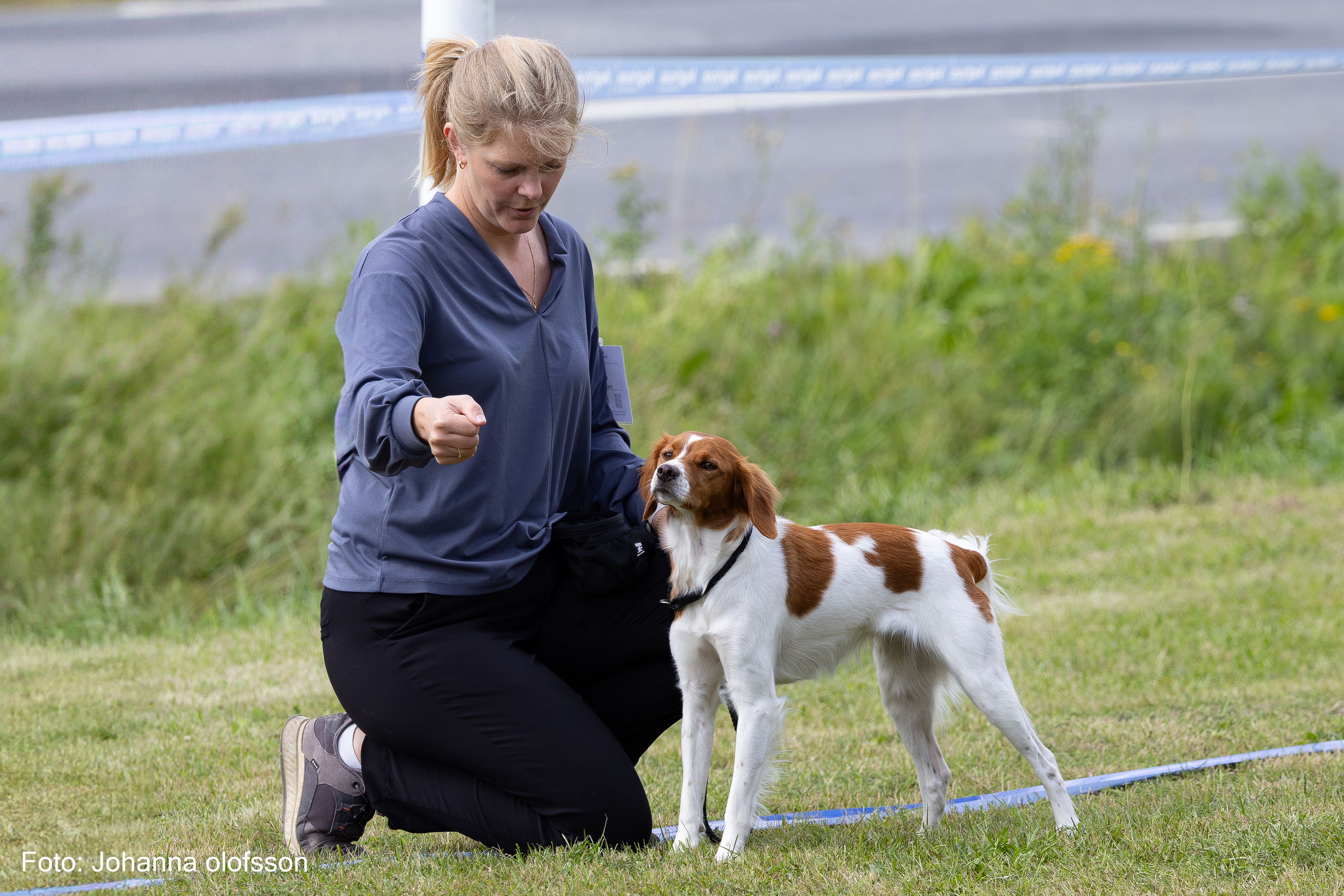 Ripvidets Vera Äg Ylva Brandtberg2025