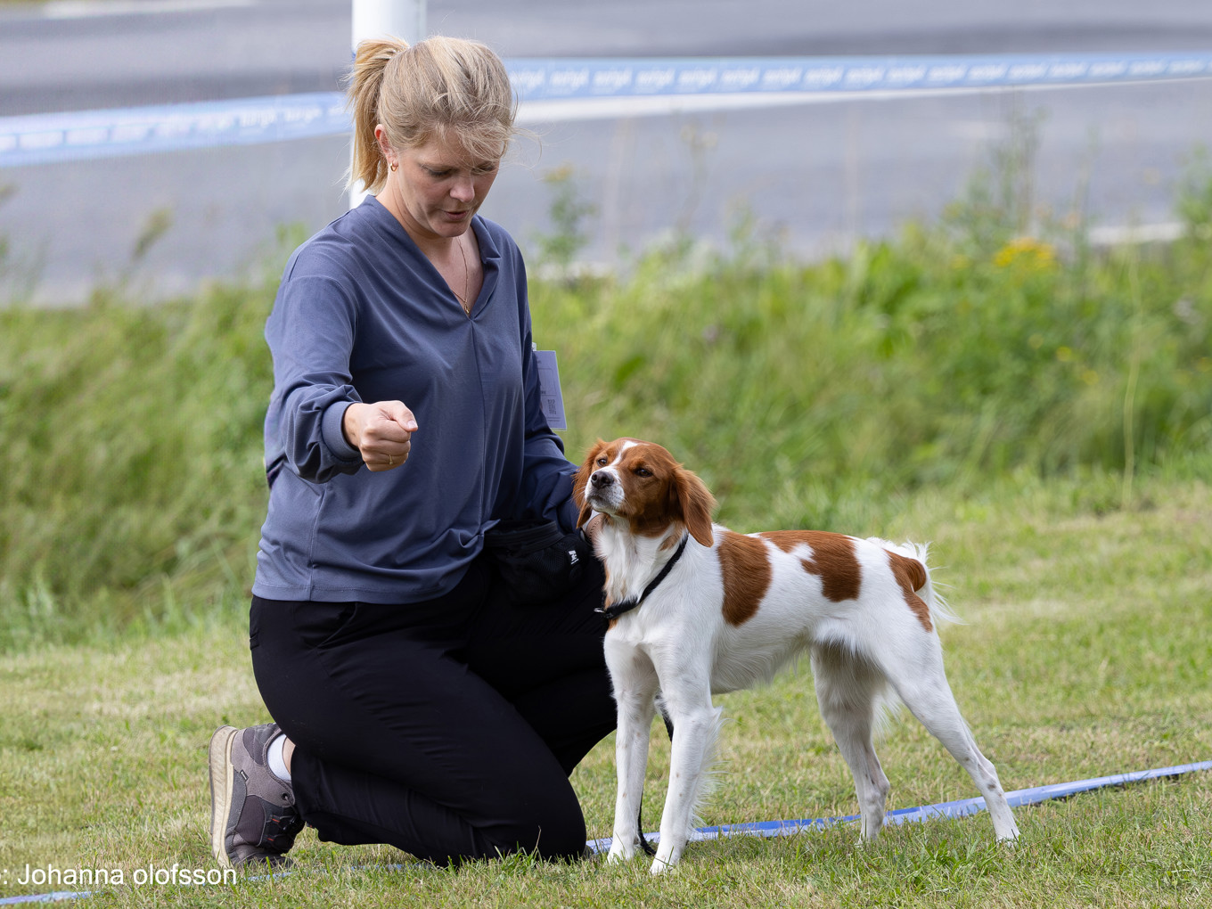 Ripvidets Vera Äg Ylva Brandtberg2025