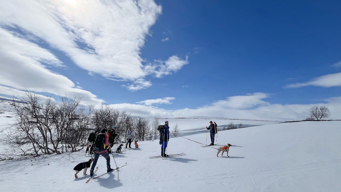 Klimpfjäll april_25_6