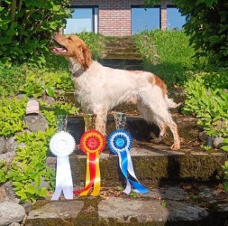 VAN'T PASSANT TAHDOTKO MUT TOSIAAN (2)