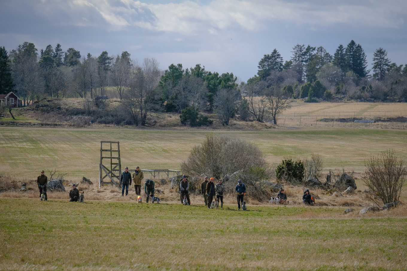 Långtora 2025-04-05_2