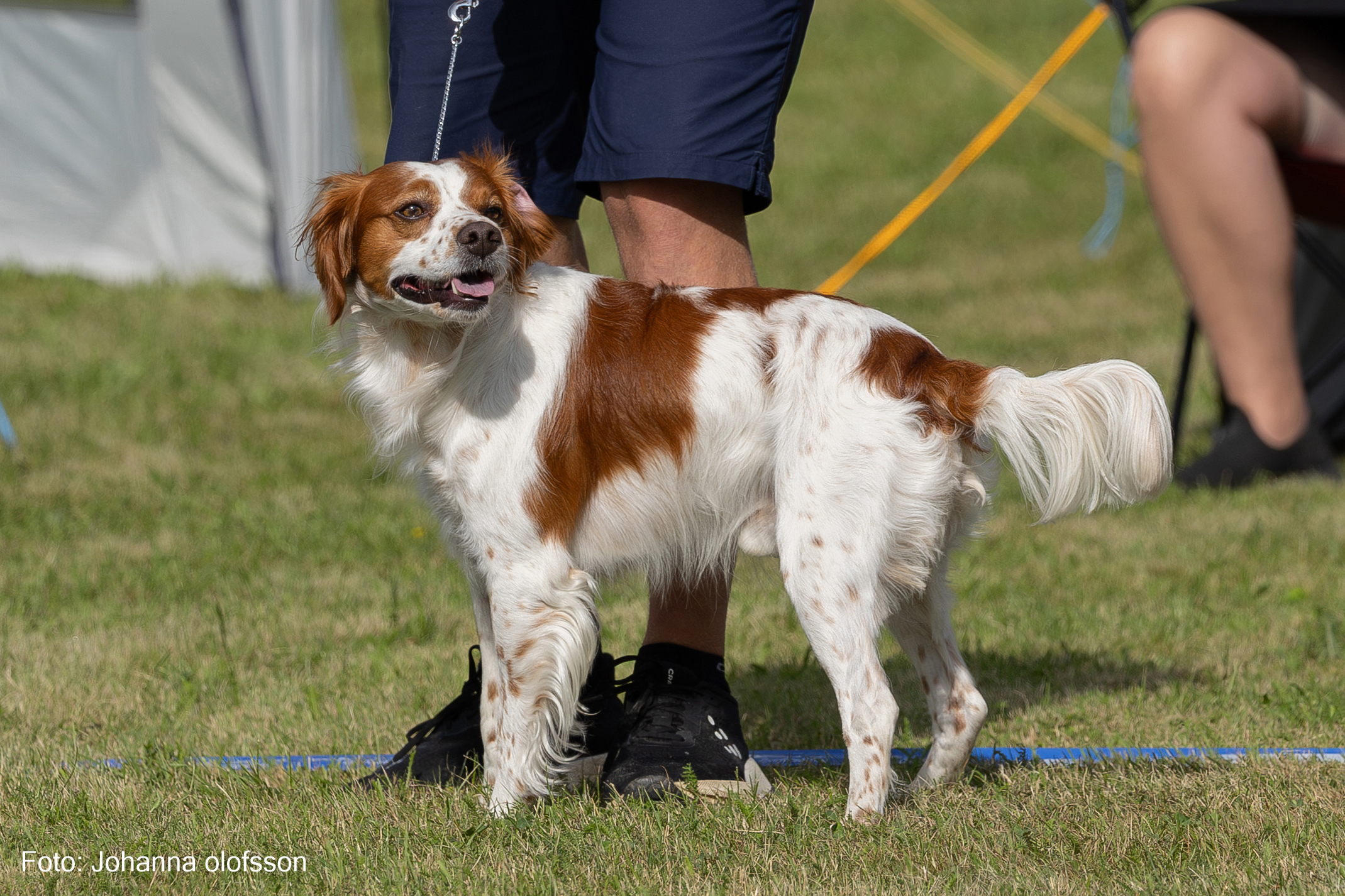 Isaks Nelson Äg Mattias Berglund2025 2