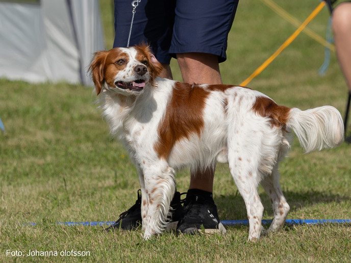 Isaks Nelson Äg Mattias Berglund2025 2